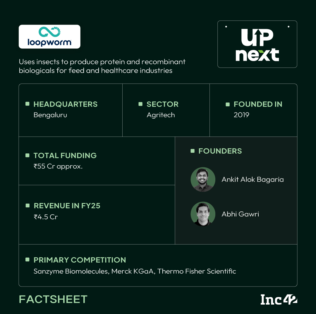 How Loopworm Is Turning Insects Into Protein For Feed And Pharma