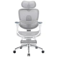 Sihoo Doro C300 Pro V2 Ergonomic Task Chair