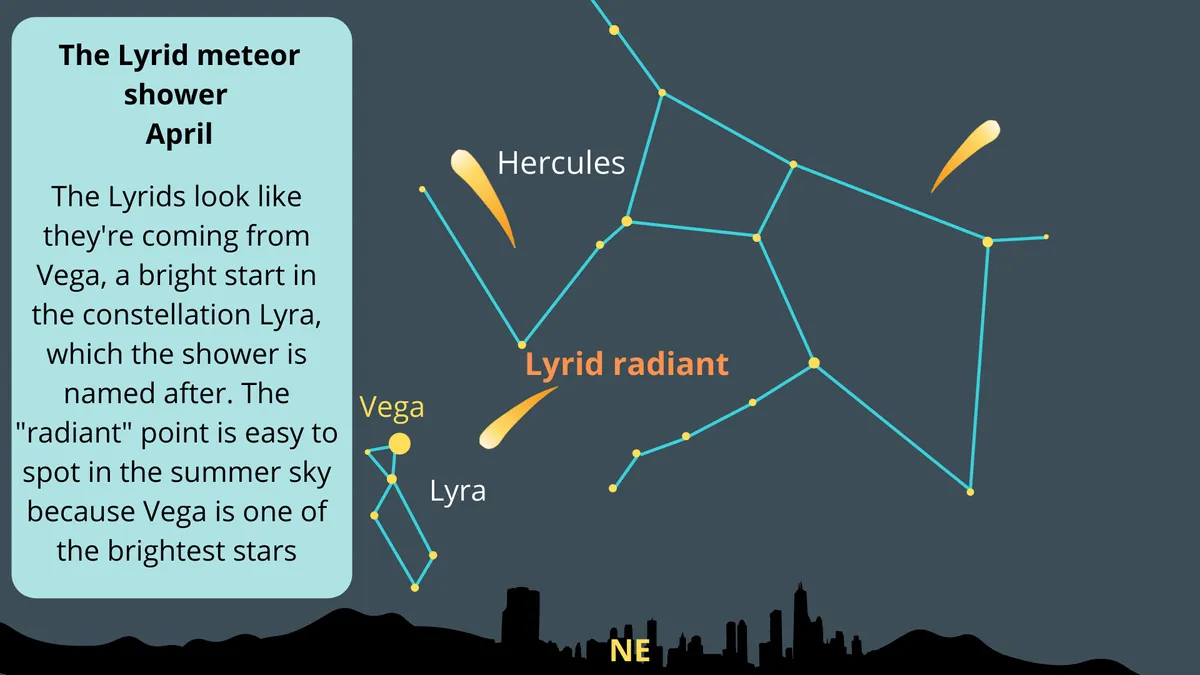 The Lyrid radiant point near Vega, the brightest star in the constellation Lyra, rises in the northeast after sunset