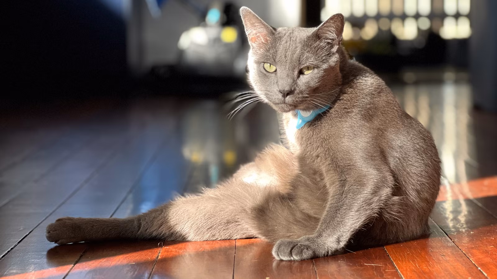 A Zigbee vibration sensor attached to a pet food container creates an automatic feeding log without any daily effort