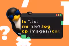 Pixel 10a Display: Why Screen Quality Beats Camera for Business