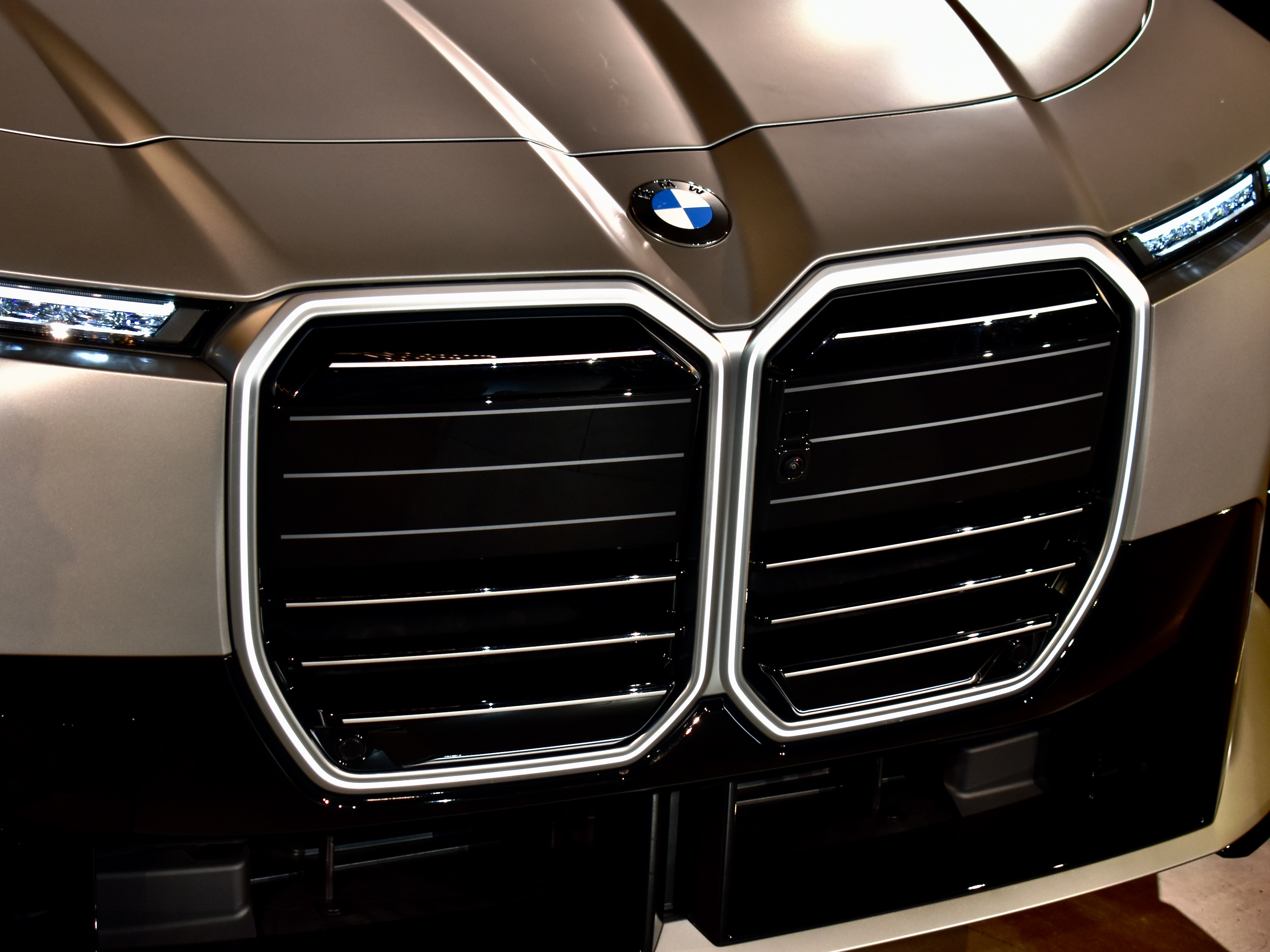 BMW 7 Series grille