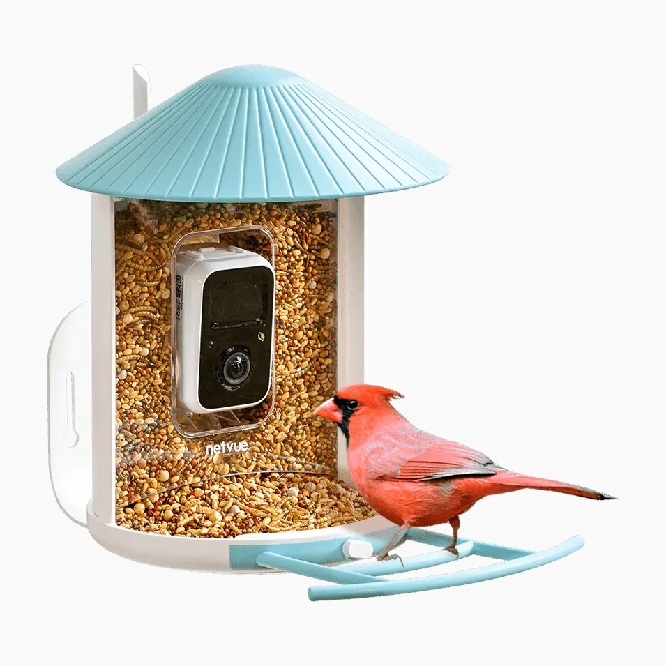 Birdfy's smart feeder identifies bird species via its 1080p camera.