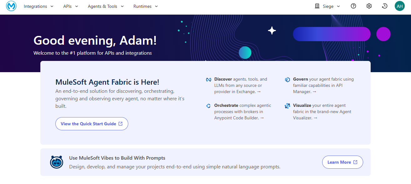 MuleSoft's Anypoint Platform interface showing the full integration environment