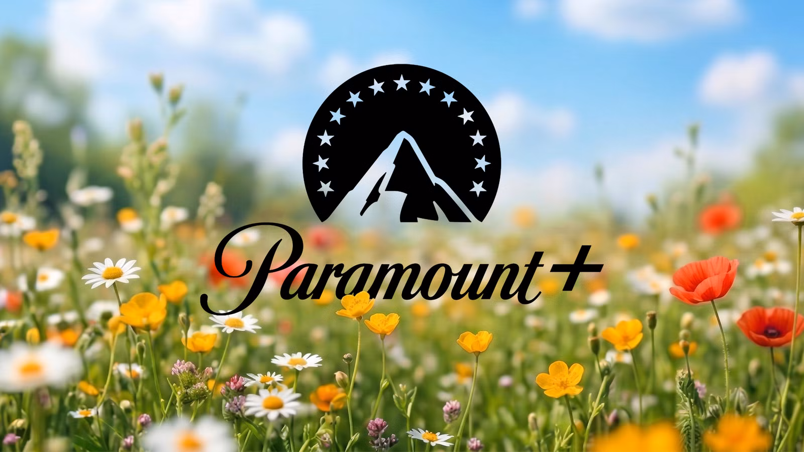 3 Paramount+ Movies to Watch This Week: May 4-10