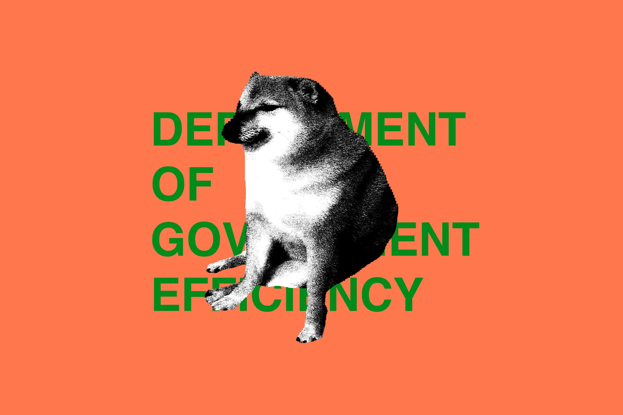 STKS486_DOGE_DEPARTMENT_2_E