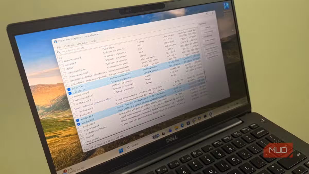 Driver Store Explorer shows all installed drivers and lets you select old versions for removal