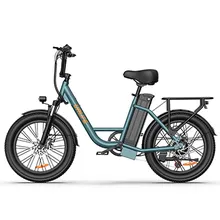 UrLife E20 750W (1,000W Peak) 48V Electric Bike