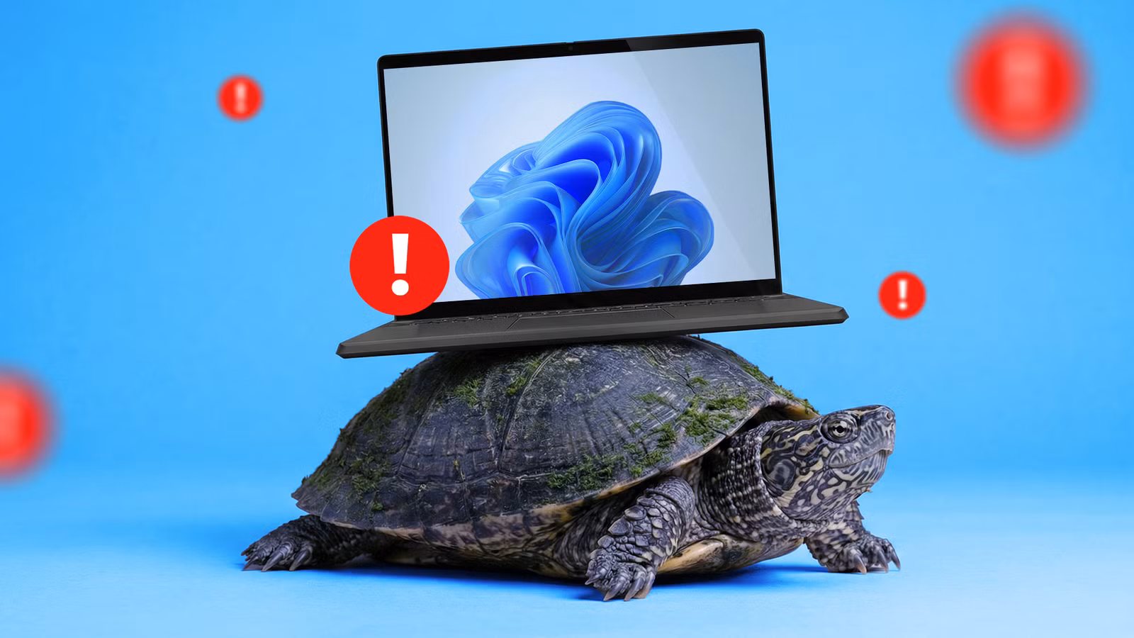 How to Disable Windows 11 Animations and Transparency