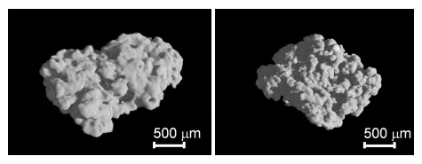 Two grayscale microscope images compare calcium crystals grown in space (left) and on Earth (right). The space-grown sample appears smoother and more uniform with less bumps, while the Earth-grown sample shows a rougher, more clustered structure with uneven surfaces.