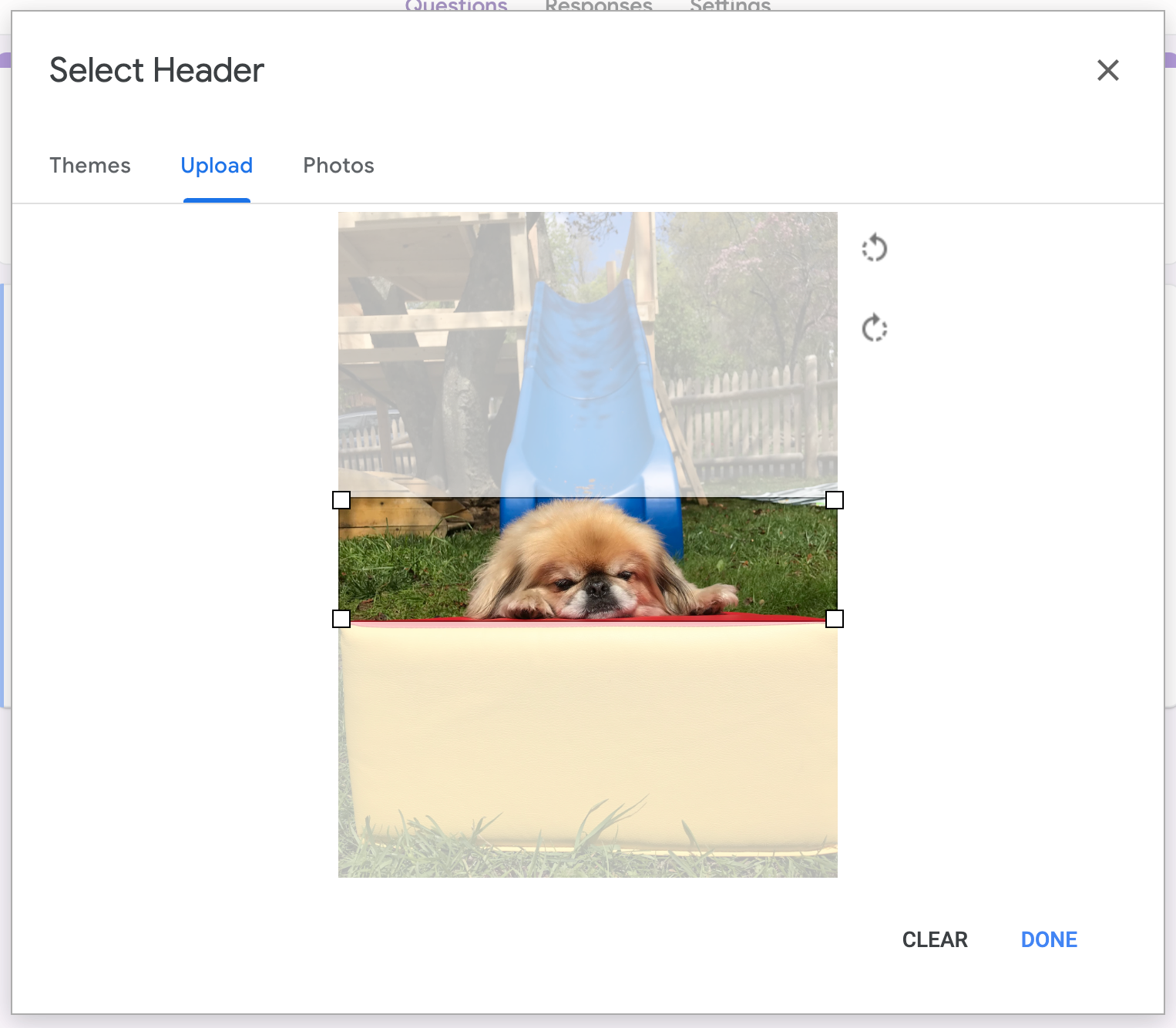 A properly sized 1600x400 image uploads without any cropping