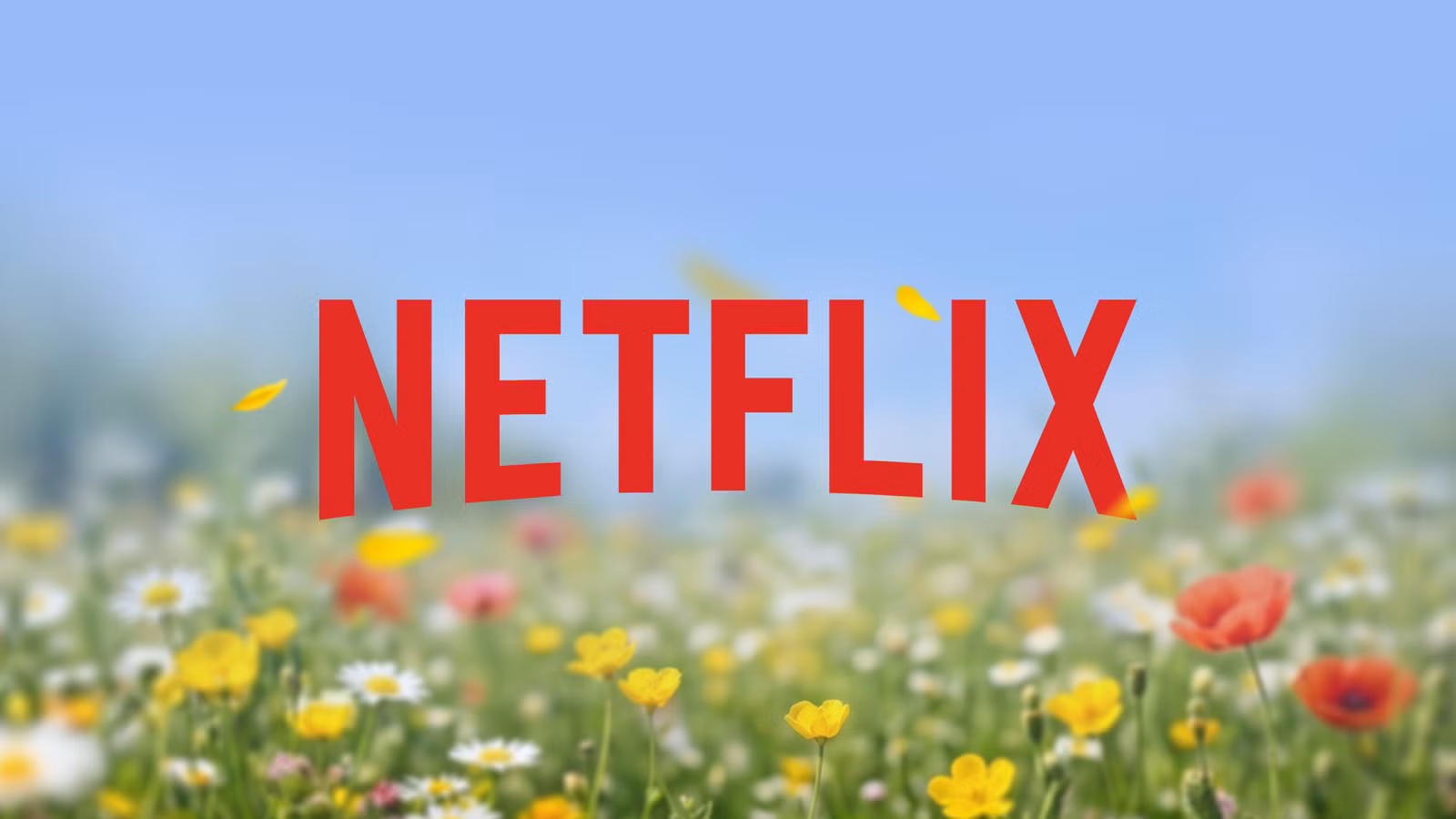 3 Netflix Shows to Binge This Weekend (May 22-24)