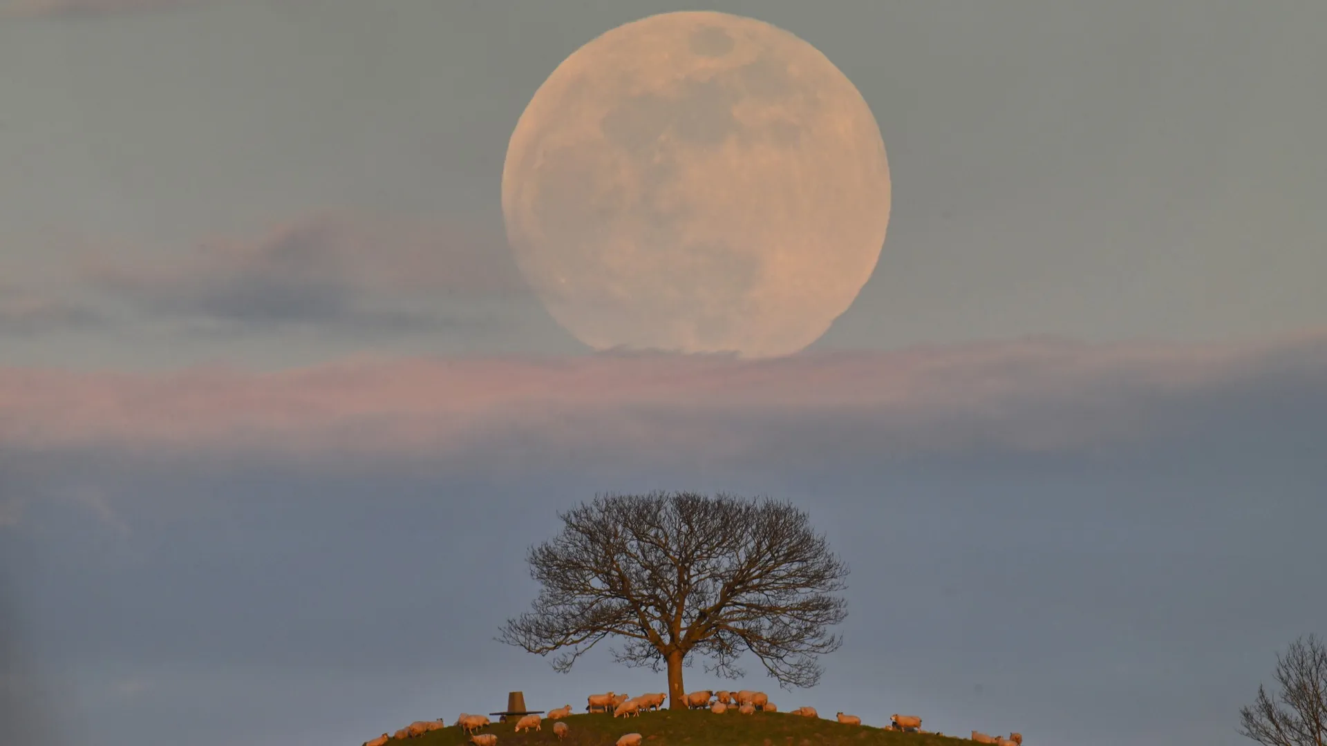 A full moonrise offers muted orange tones that disappear within minutes as the moon climbs higher.