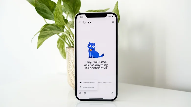 Local chatbots offer privacy and cost advantages over cloud-based alternatives