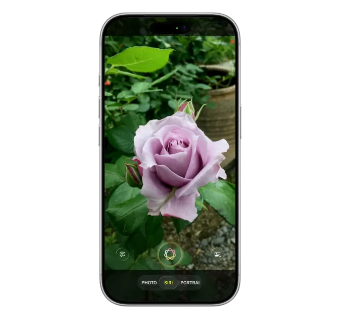 Bloomberg's render shows Siri responses emerging from the Dynamic Island in a card-style interface