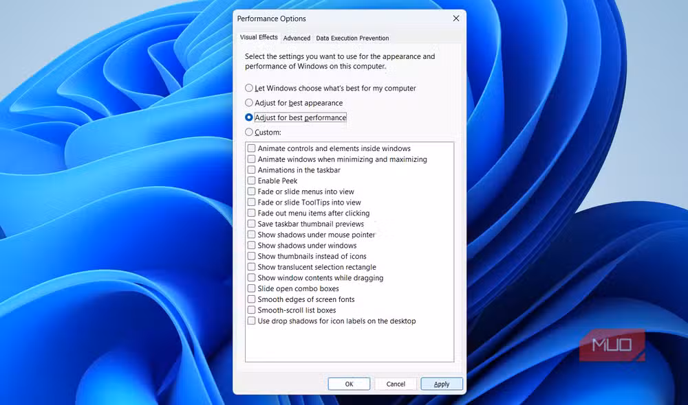 Windows performance options dialog with 'Adjust for best performance' selected