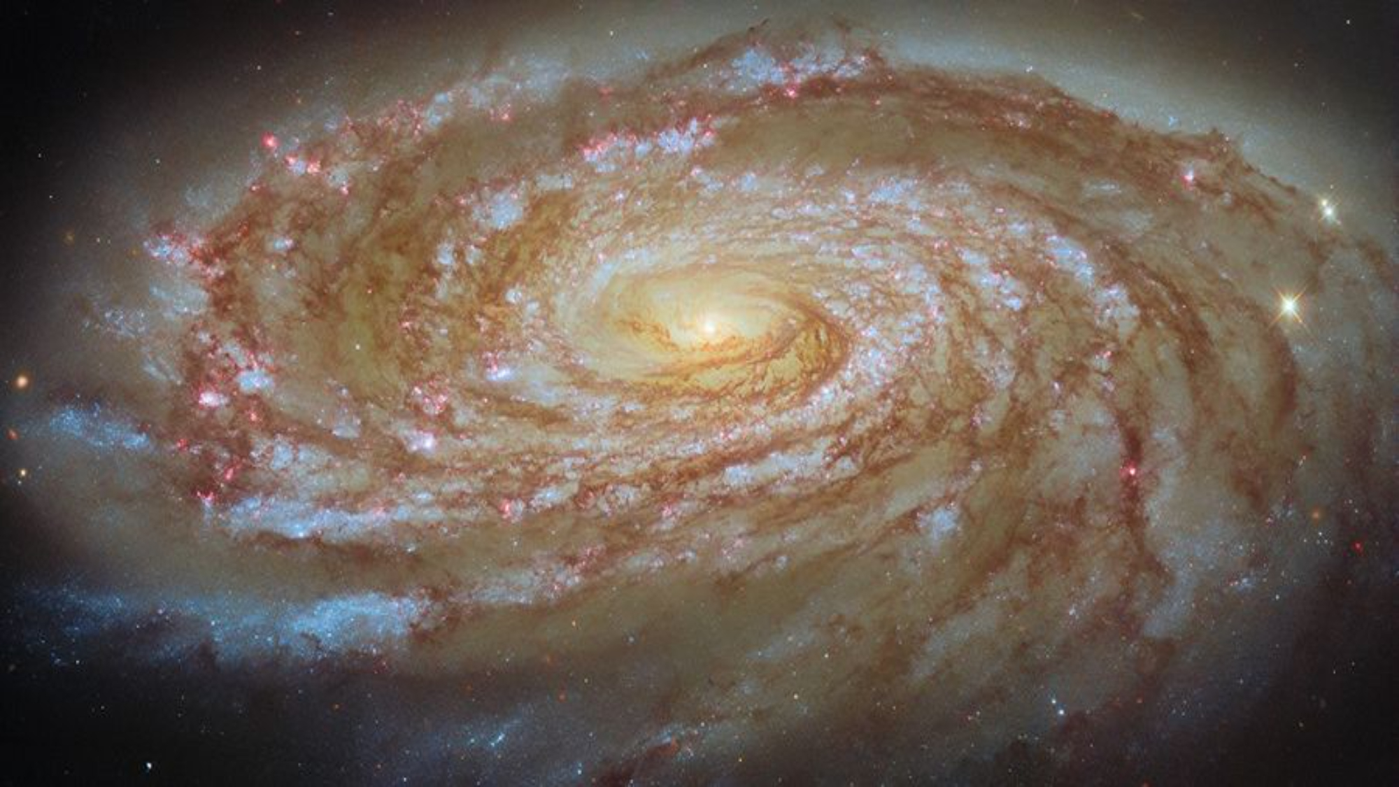 Hubble Captures Hypnotic Spiral Galaxy M88 in New Image