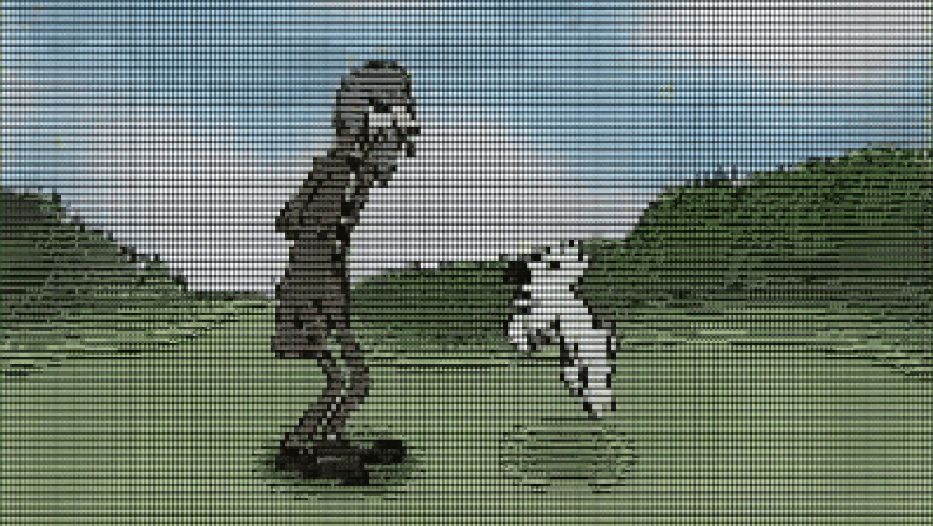 Developer Releases 'Unblockable' ASCII Video Streamer