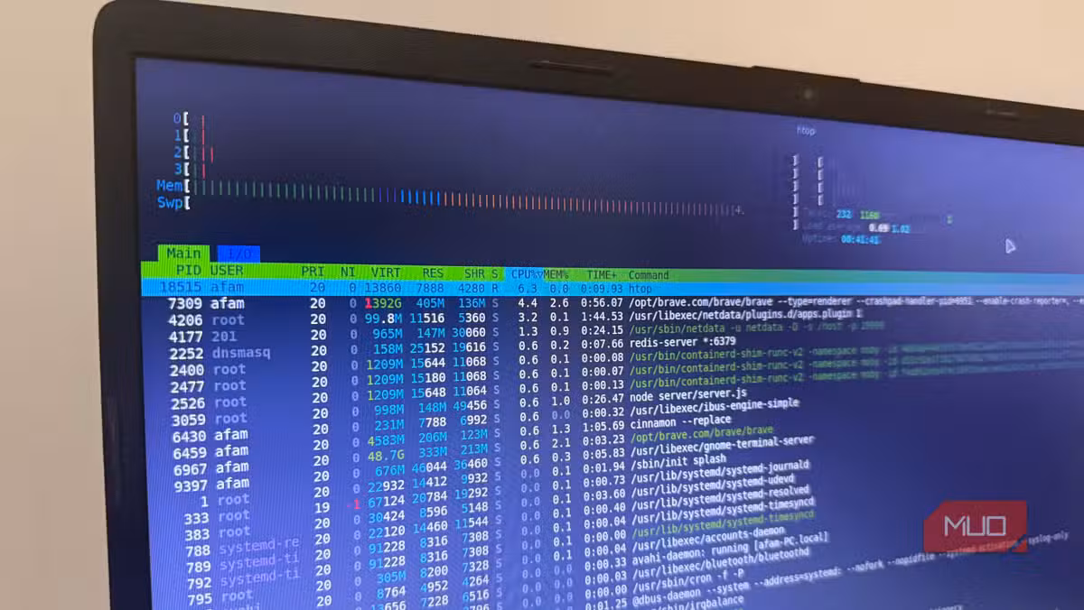 Using htop to monitor memory consumption on a Linux server