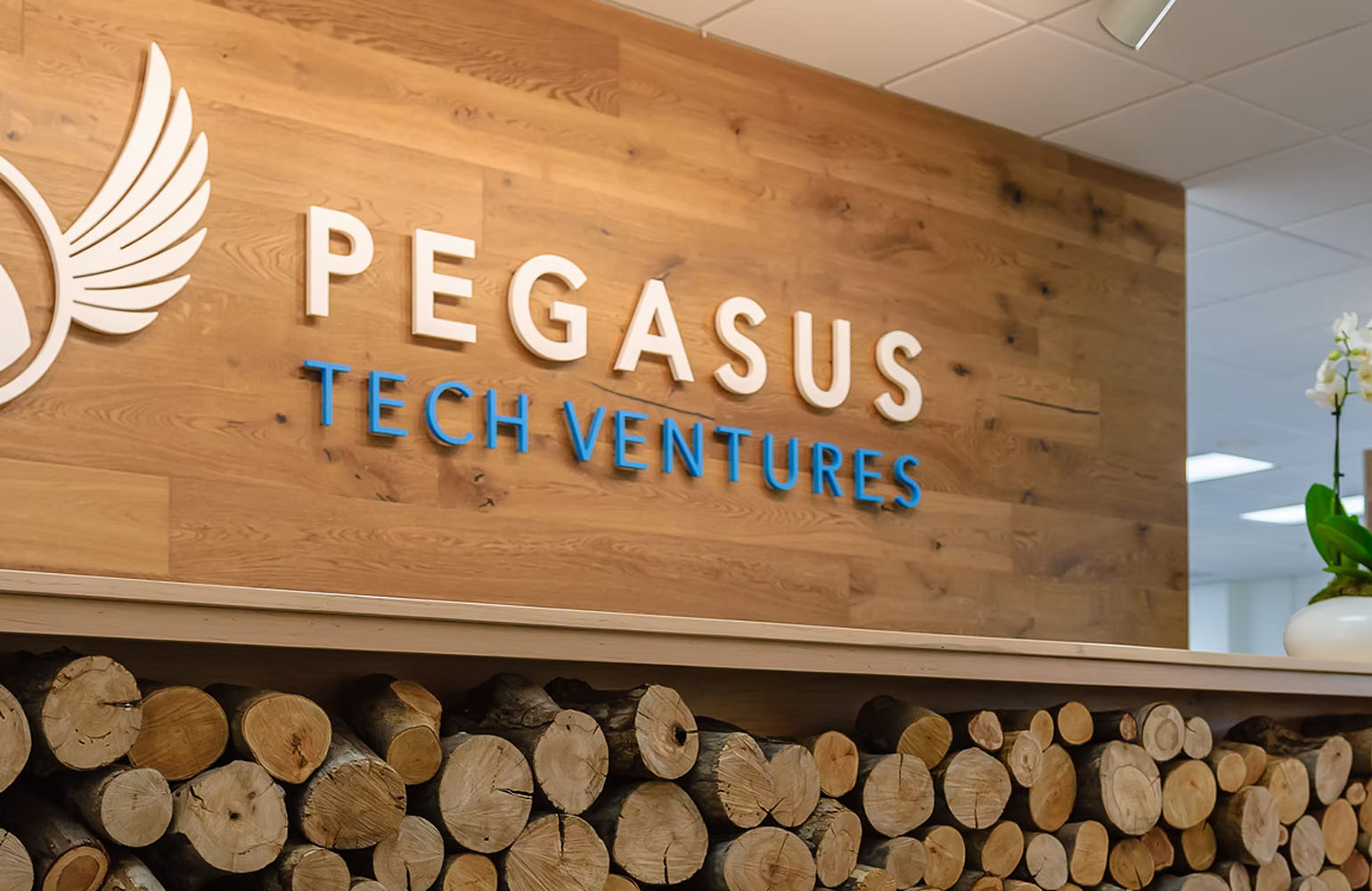 Pegasus وCYBERDYNE تطلقان صندوقاً استثمارياً بـ60 مليون دولار للذكاء الاصطناعي الفيزيائي