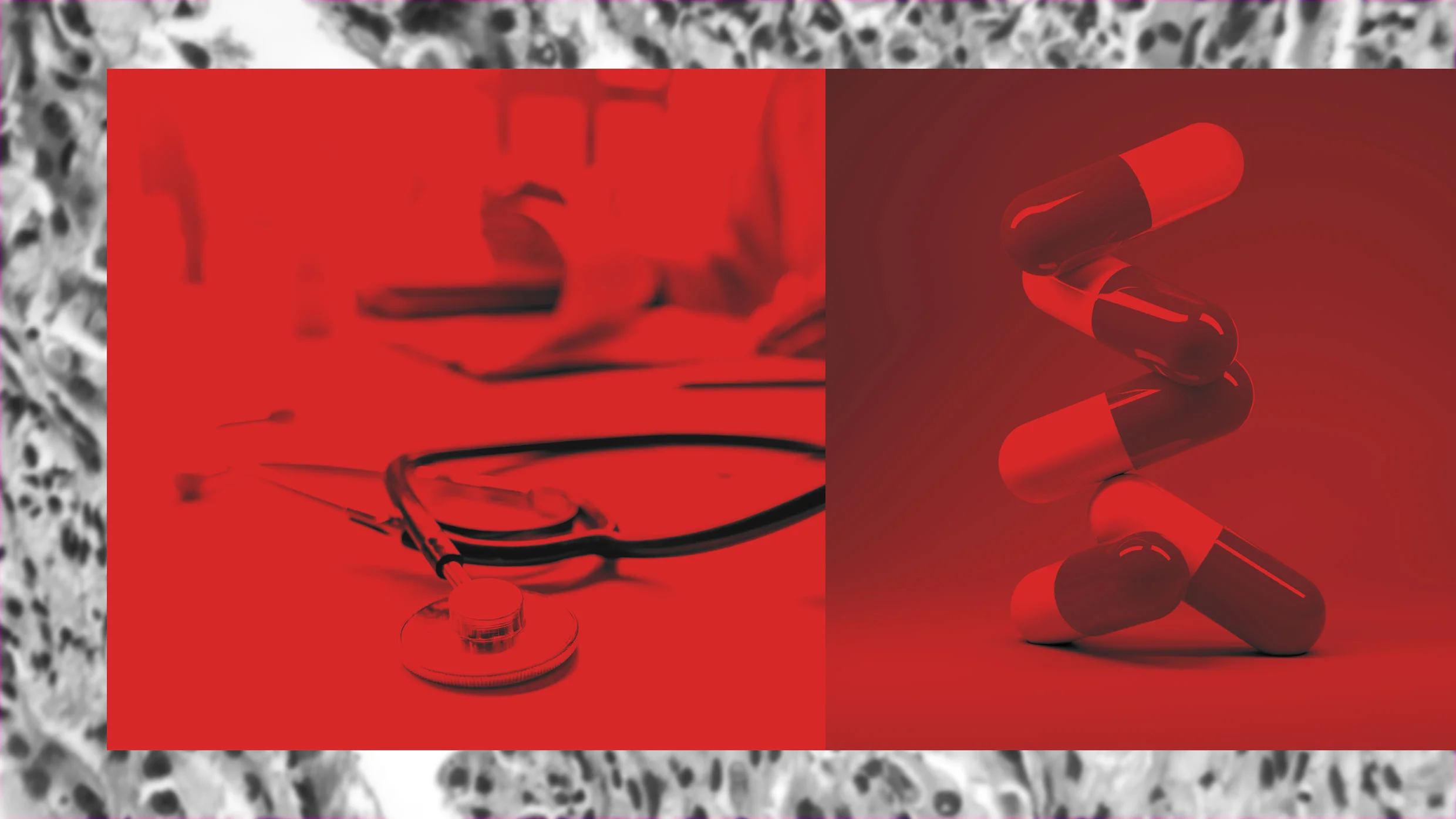Conservative health gap widens: study links deaths to medical mistrust