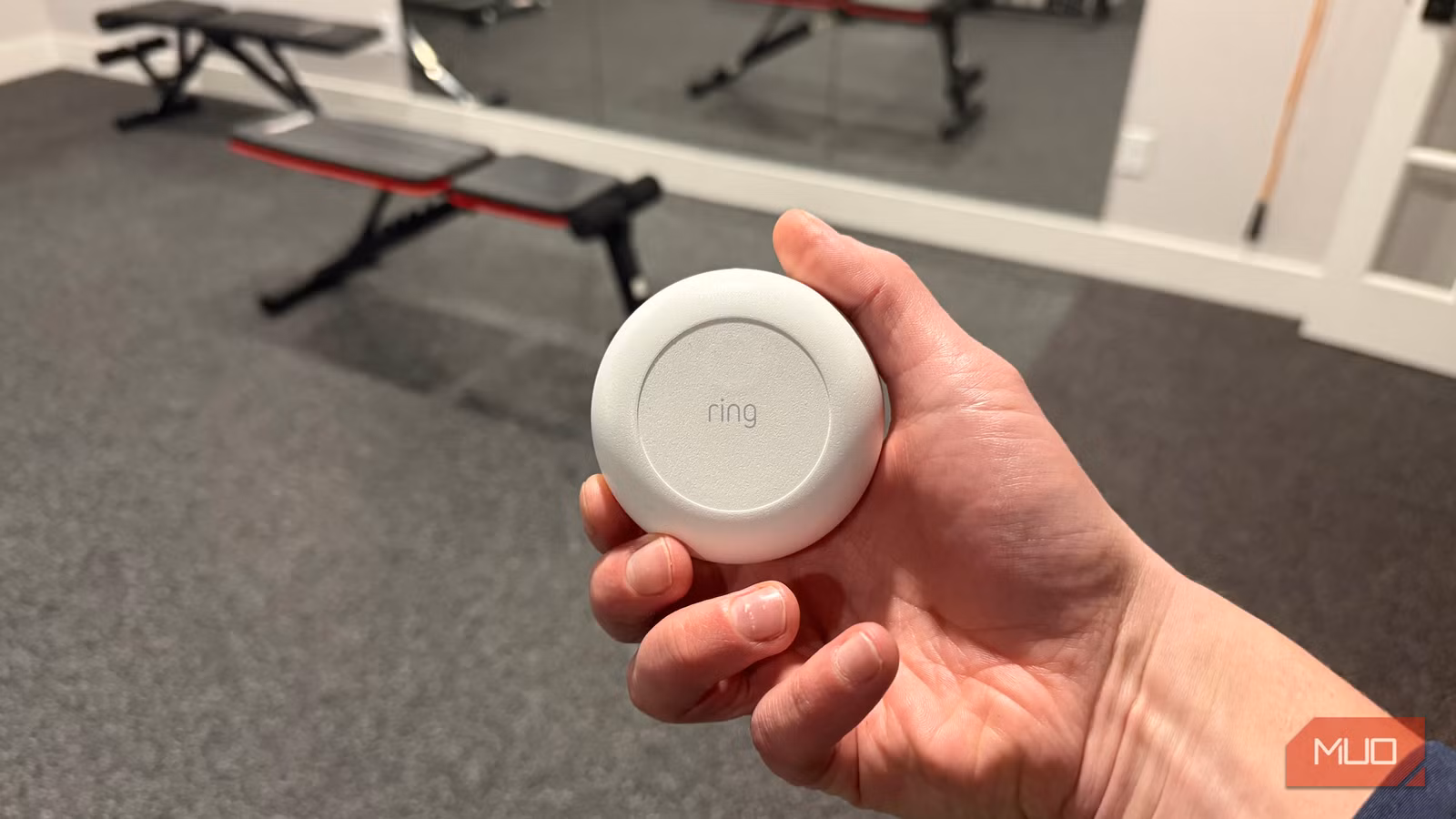 $30 water sensor saved my finished basement at 2am